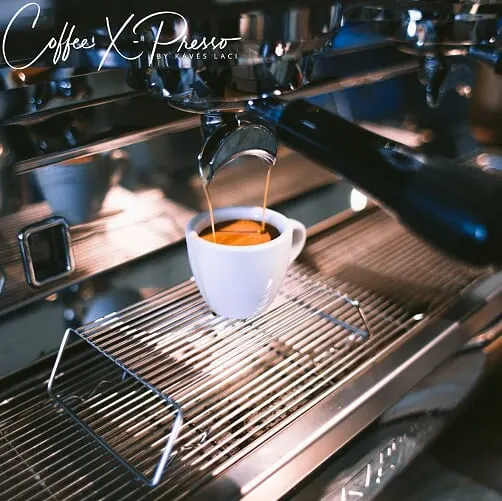 barista 2